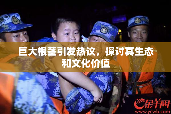 巨大根茎引发热议，探讨其生态和文化价值