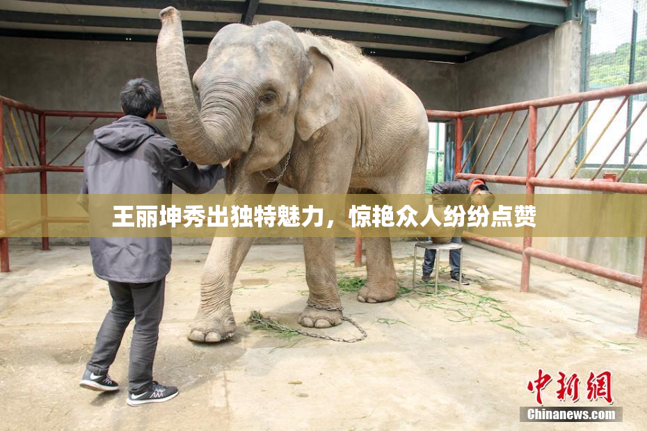 王丽坤秀出独特魅力，惊艳众人纷纷点赞