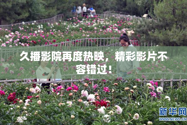 久播影院再度热映，精彩影片不容错过！