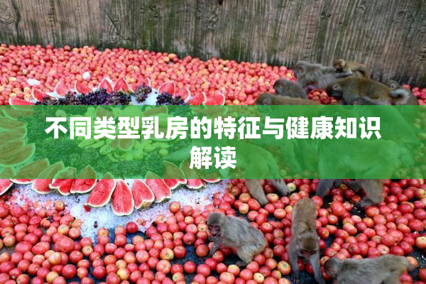 不同类型乳房的特征与健康知识解读