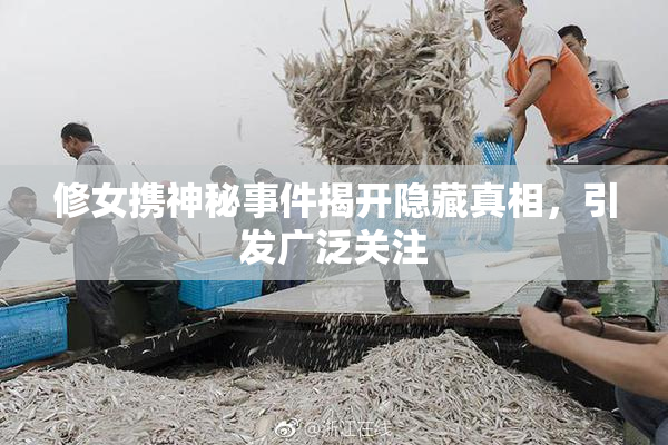 修女携神秘事件揭开隐藏真相，引发广泛关注