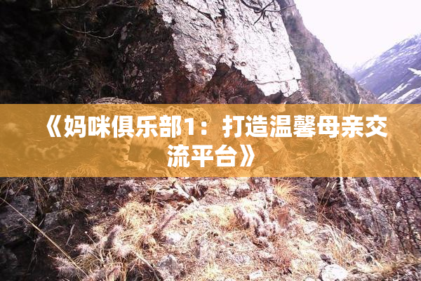 《妈咪俱乐部1：打造温馨母亲交流平台》