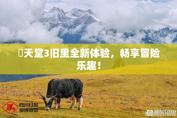 妺天堂3旧里全新体验，畅享冒险乐趣！