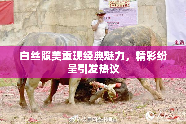 白丝照美重现经典魅力，精彩纷呈引发热议