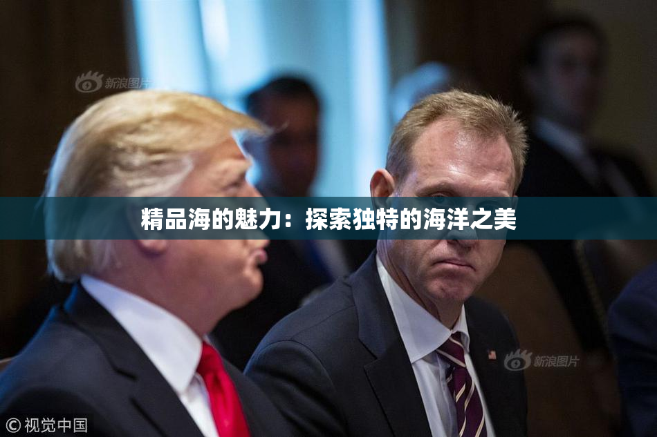 精品海的魅力：探索独特的海洋之美