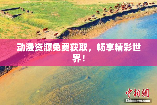 动漫资源免费获取，畅享精彩世界！