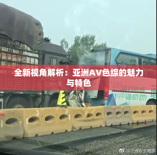 全新视角解析：亚洲AV色综的魅力与特色