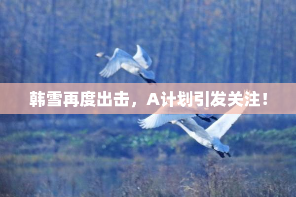 韩雪再度出击，A计划引发关注！