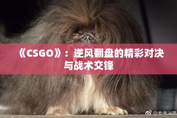 《CSGO》：逆风翻盘的精彩对决与战术交锋