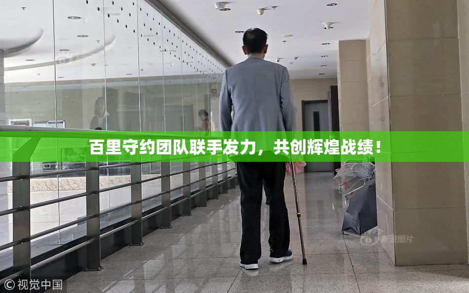 百里守约团队联手发力，共创辉煌战绩！