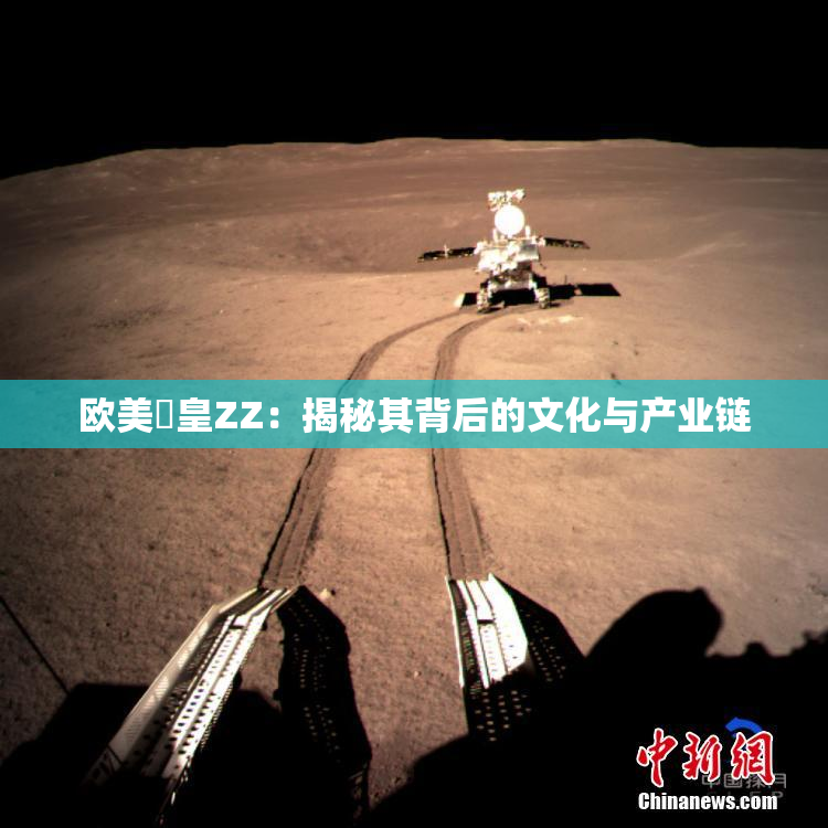 欧美嘼皇ZZ：揭秘其背后的文化与产业链