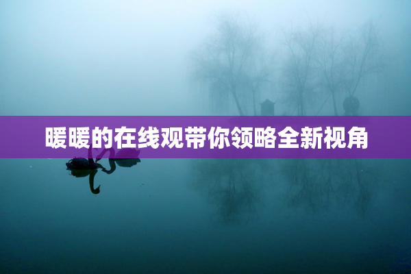 暖暖的在线观带你领略全新视角