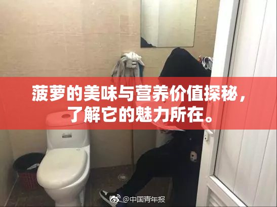 菠萝的美味与营养价值探秘，了解它的魅力所在。