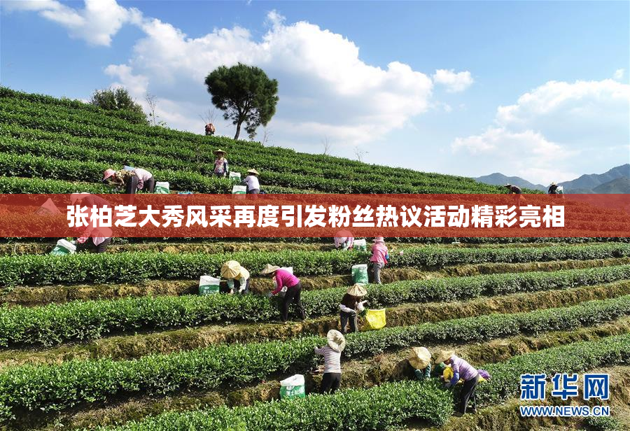 张柏芝大秀风采再度引发粉丝热议活动精彩亮相