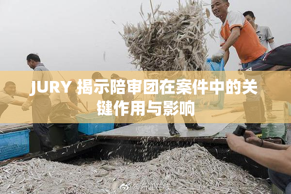 JURY 揭示陪审团在案件中的关键作用与影响