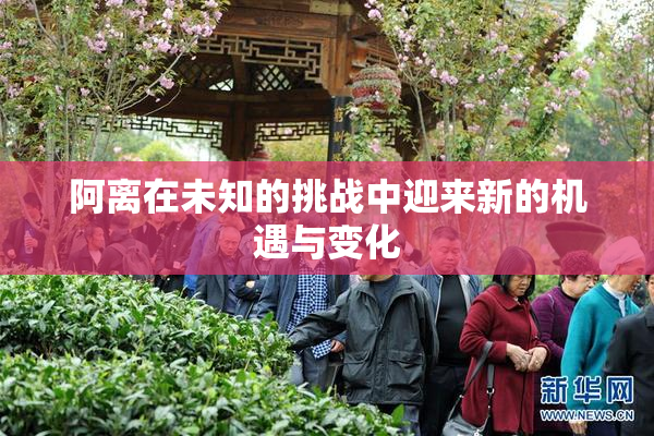 阿离在未知的挑战中迎来新的机遇与变化