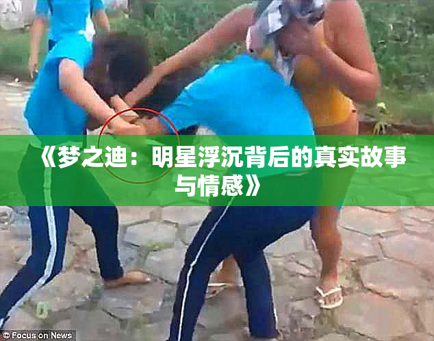 《梦之迪：明星浮沉背后的真实故事与情感》