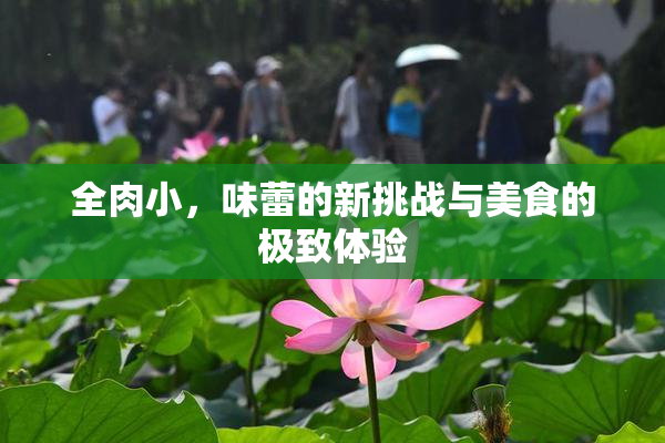 全肉小，味蕾的新挑战与美食的极致体验