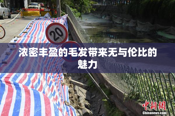 浓密丰盈的毛发带来无与伦比的魅力