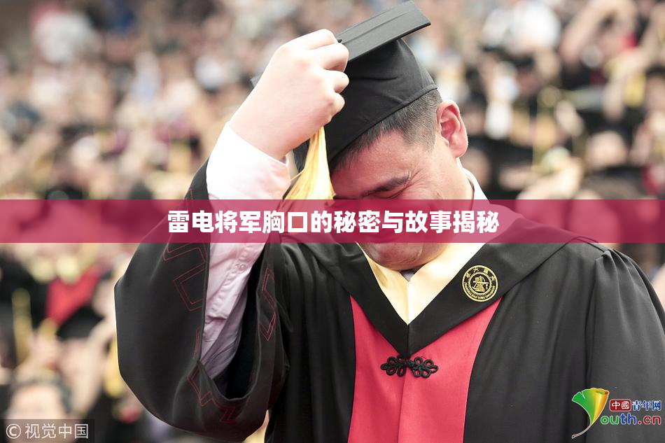 雷电将军胸口的秘密与故事揭秘