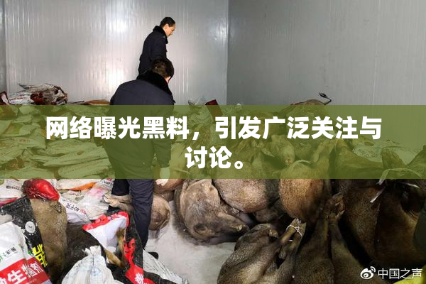 网络曝光黑料，引发广泛关注与讨论。