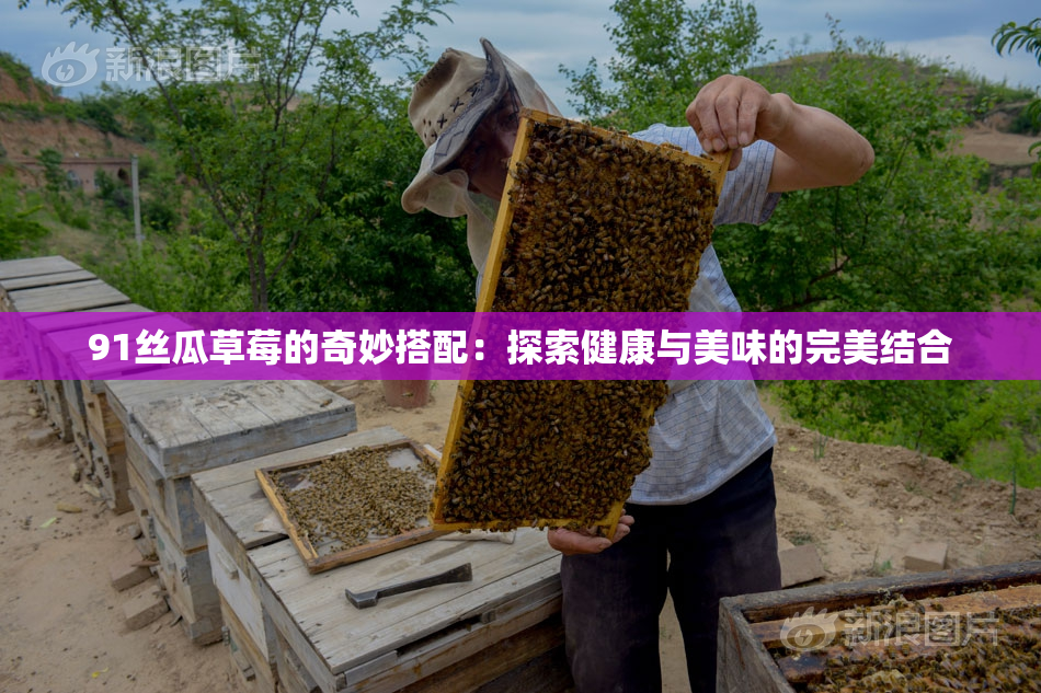 91丝瓜草莓的奇妙搭配：探索健康与美味的完美结合