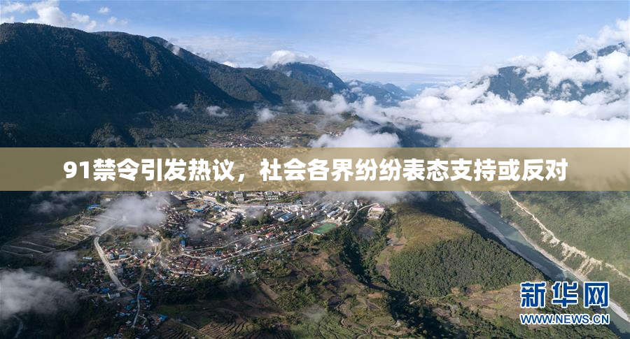 91禁令引发热议，社会各界纷纷表态支持或反对
