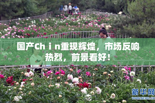 国产Chⅰn重现辉煌，市场反响热烈，前景看好！