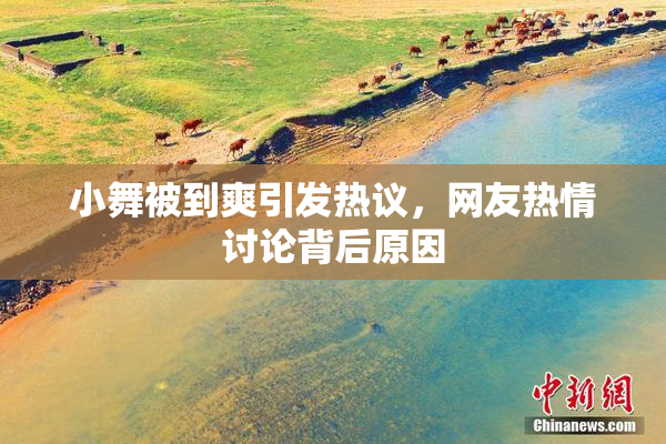 小舞被到爽引发热议，网友热情讨论背后原因