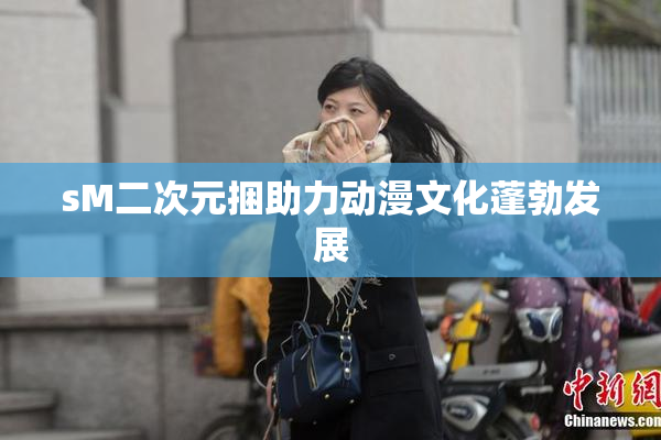 sM二次元捆助力动漫文化蓬勃发展