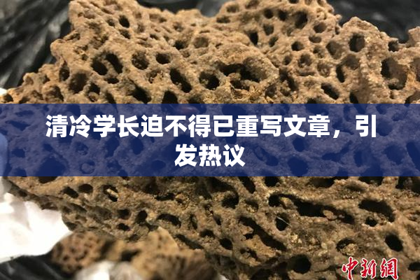 清冷学长迫不得已重写文章，引发热议