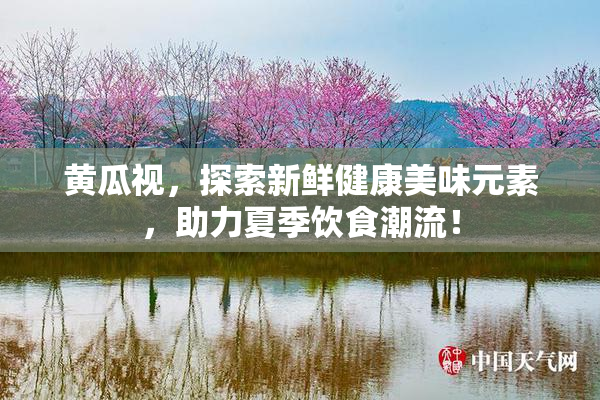 黄瓜视，探索新鲜健康美味元素，助力夏季饮食潮流！
