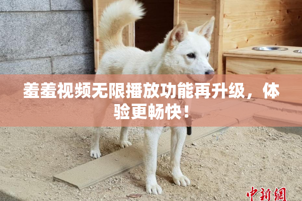羞羞视频无限播放功能再升级，体验更畅快！