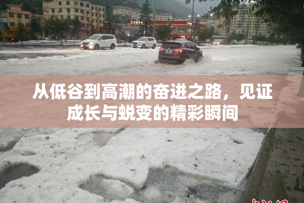 从低谷到高潮的奋进之路，见证成长与蜕变的精彩瞬间