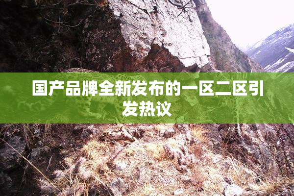 国产品牌全新发布的一区二区引发热议