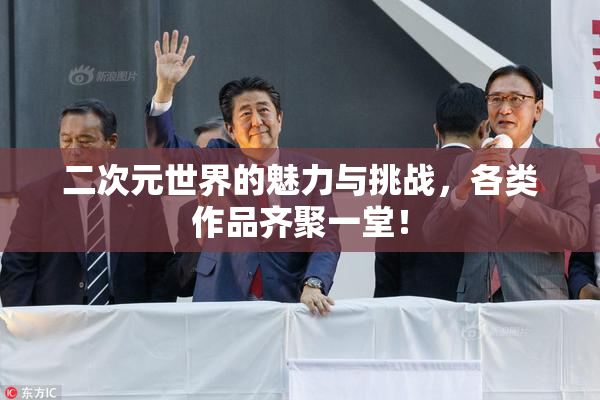 二次元世界的魅力与挑战，各类作品齐聚一堂！
