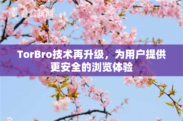 TorBro技术再升级，为用户提供更安全的浏览体验
