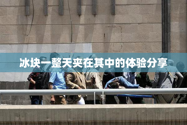 冰块一整天夹在其中的体验分享