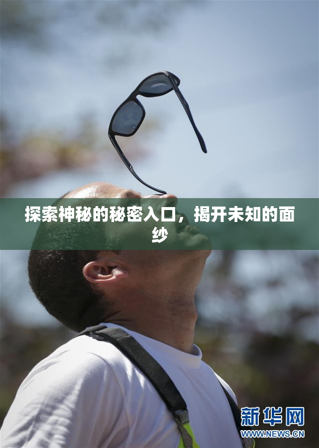 探索神秘的秘密入口，揭开未知的面纱