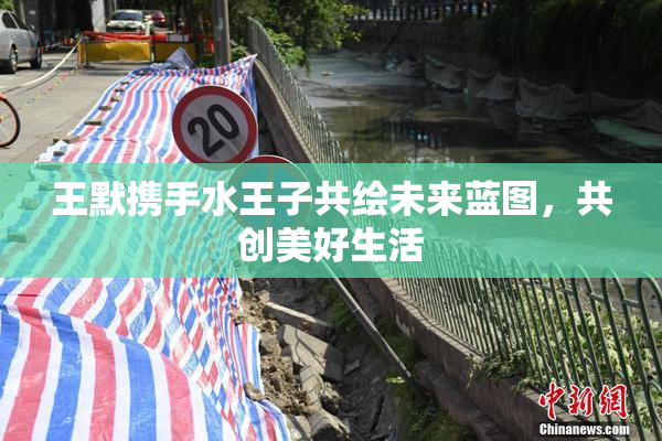 王默携手水王子共绘未来蓝图，共创美好生活