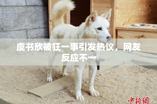 虞书欣被狂一事引发热议，网友反应不一
