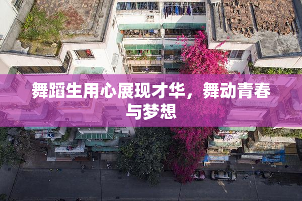 舞蹈生用心展现才华，舞动青春与梦想