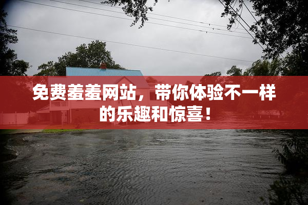 免费羞羞网站，带你体验不一样的乐趣和惊喜！