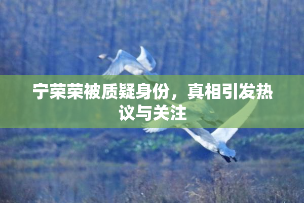 宁荣荣被质疑身份，真相引发热议与关注