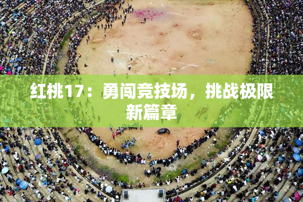 红桃17：勇闯竞技场，挑战极限新篇章