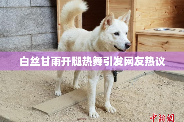 白丝甘雨开腿热舞引发网友热议