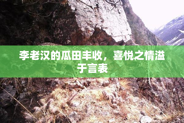 李老汉的瓜田丰收，喜悦之情溢于言表