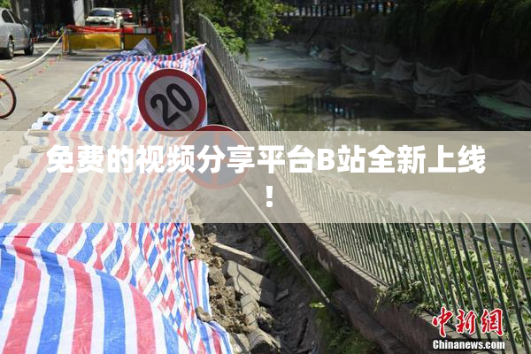免费的视频分享平台B站全新上线！