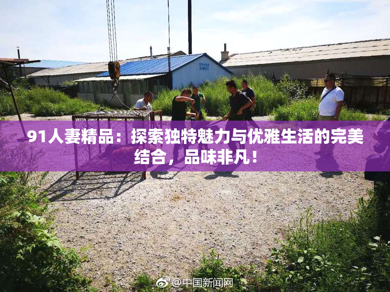 91人妻精品：探索独特魅力与优雅生活的完美结合，品味非凡！