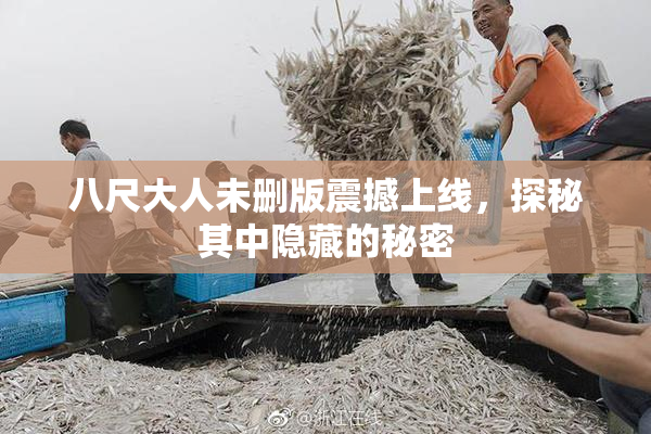 八尺大人未删版震撼上线，探秘其中隐藏的秘密